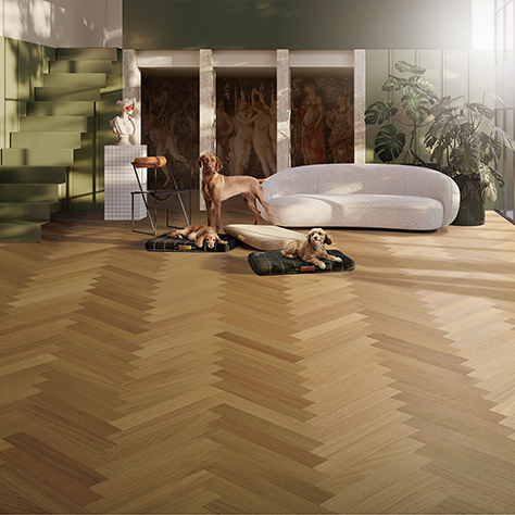 luck18xinli(中国区)-官方网站